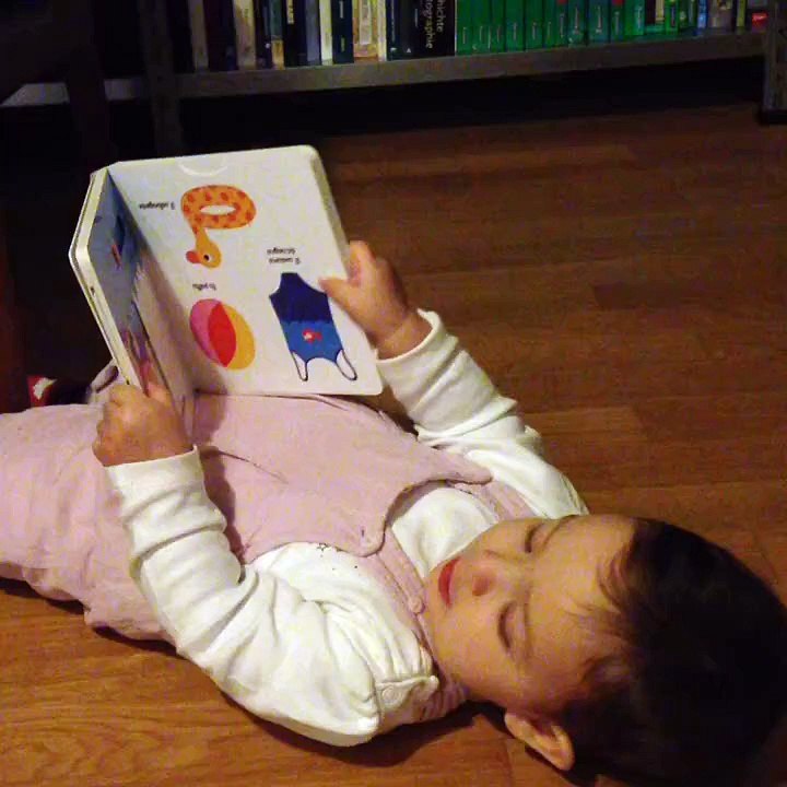 Dina - 20.11.2015