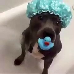 Look how she take shower