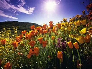 RAHAT FATEH ALI KHAN - Main Kis Tarha Se Karoon Bayaan