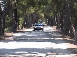 GJYKATA LE NE BURG PERDHUNUESIT E FIERIT, FAMILJARET I BRAKTISIN NE SALLEN E GJYQIT LAJM