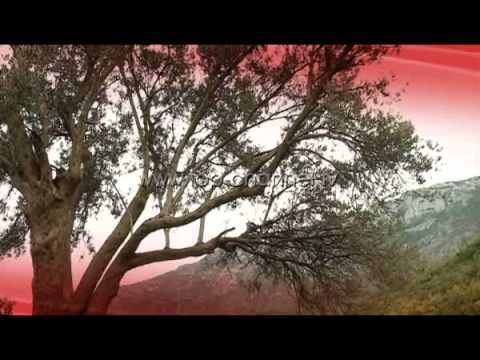“Fletorja e luftës”, një libër nga Rudina Xhunga - Top Channel Albania - News - Lajme