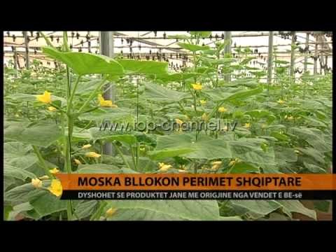 Bllokadë ruse për perimet shqiptare, Moska vendos sanksionet - Top Channel Albania - News - Lajme