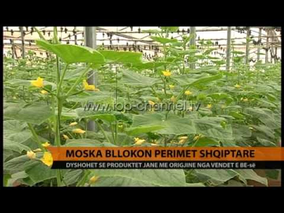Bllokadë ruse për perimet shqiptare, Moska vendos sanksionet - Top Channel Albania - News - Lajme