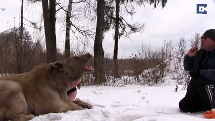 Russian Models Pose Next To Brown Bear