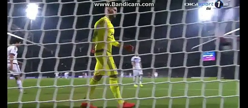 Casimir Ninga Amaizing Goal - Lyon 0-2 Montpellier - 27-11-2015