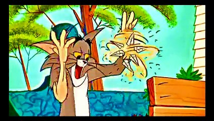 Tom and Jerry New Series The Cat s Me Ouch