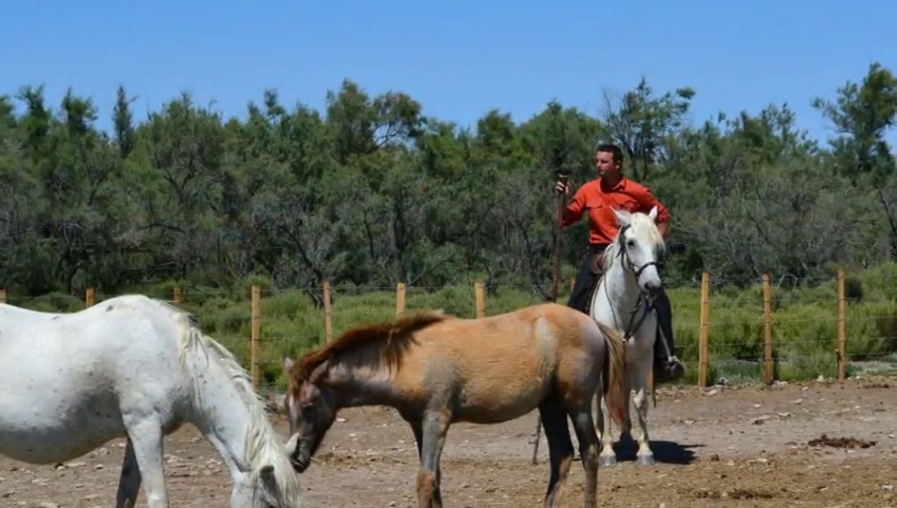 ete 2012