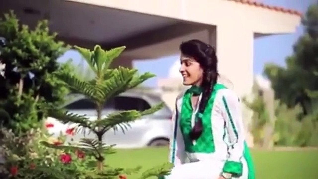 Types of People on Independence day-Furqan Shayk & Bekaar vines