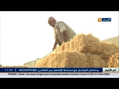 فلاحة: ارتفاع أسعار الأعلاف يهدد الثروة الحيوانية