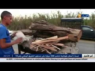 جزائريون: الذرة المشوية على الجمر تستقطب العائلات الجزائرية