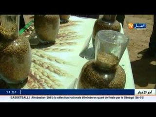بسكرة: 750 ألف قنطار انتاج الموسم الفلاحي الحالي..و الفلاحون يطالبون يالدعم