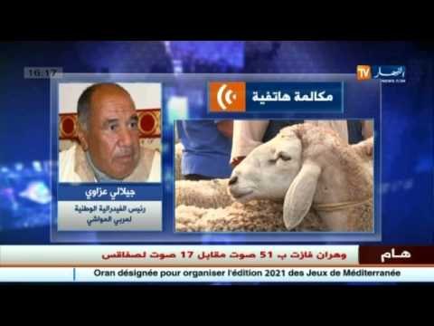 عيد الأضحى: واد كنيس ... سوق موازي لبيع المواشي..!!