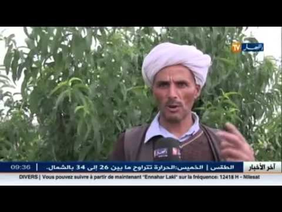 الأغواط: سكان منطقة التافزة يطالبون بالكهرباء الفلاحية و فتح المسالك