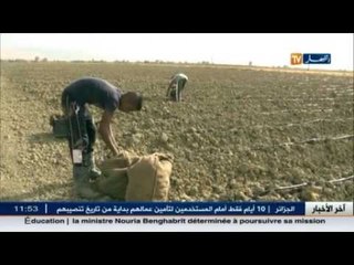 غيليزان: بدأ عملية غرس الأرض الشوكي..و الفلاحون يطالبون بالتدعيم