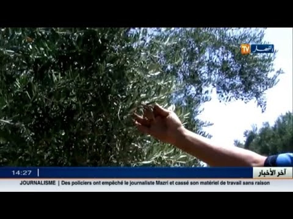 سيدي بلعباس: استفادة منطقة سفيزف من أكثر من ثلا...