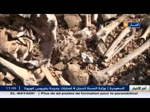 تبسة: جماجم و بقايا هياكل عظمية مرمية في العراء
