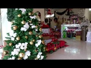 Wake Up, 09/12/2014 - Kërkohet një bredh pa gjethe - Top Channel Albania