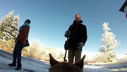 ¡El mejor cámara para tu boda es tu perro!