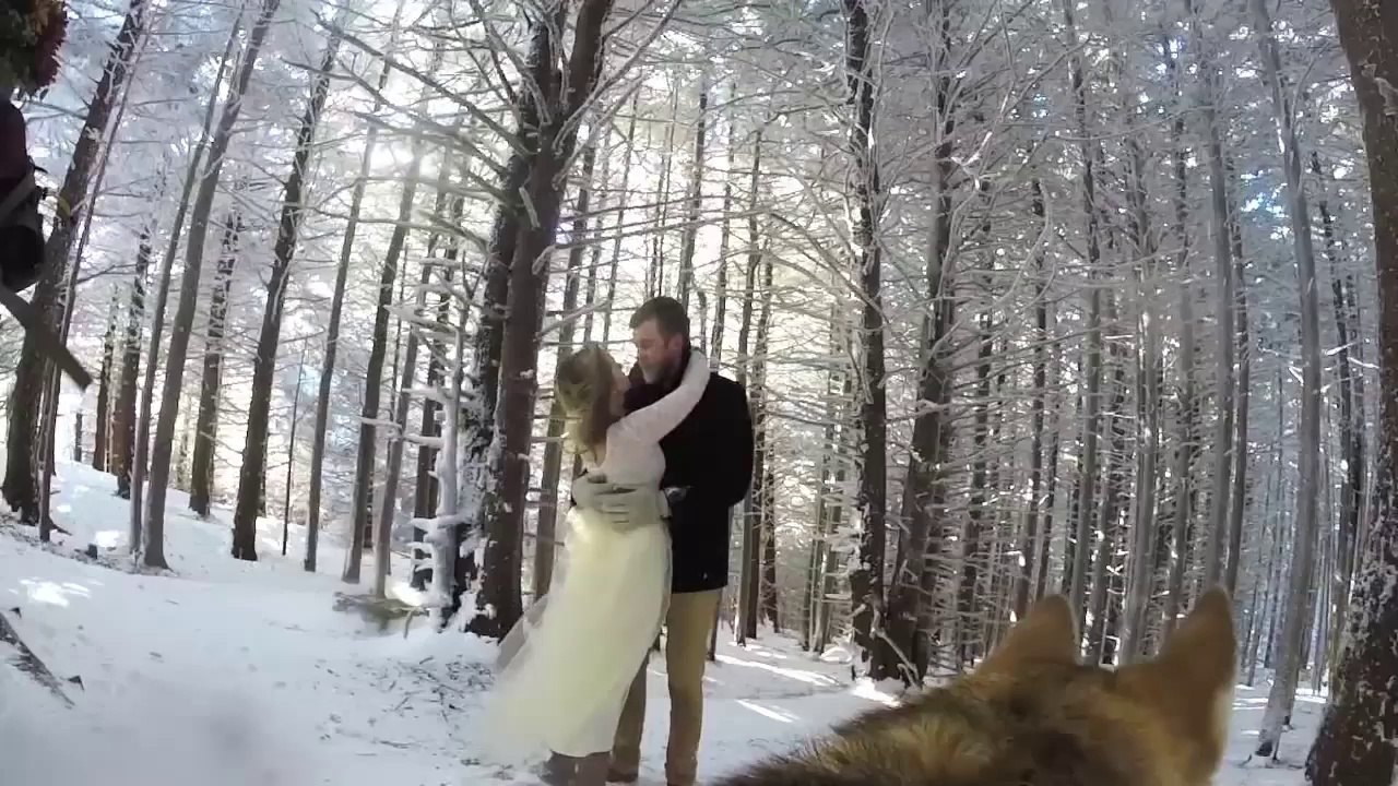 Leur chien film leur mariage avec une GoPro sur le dos