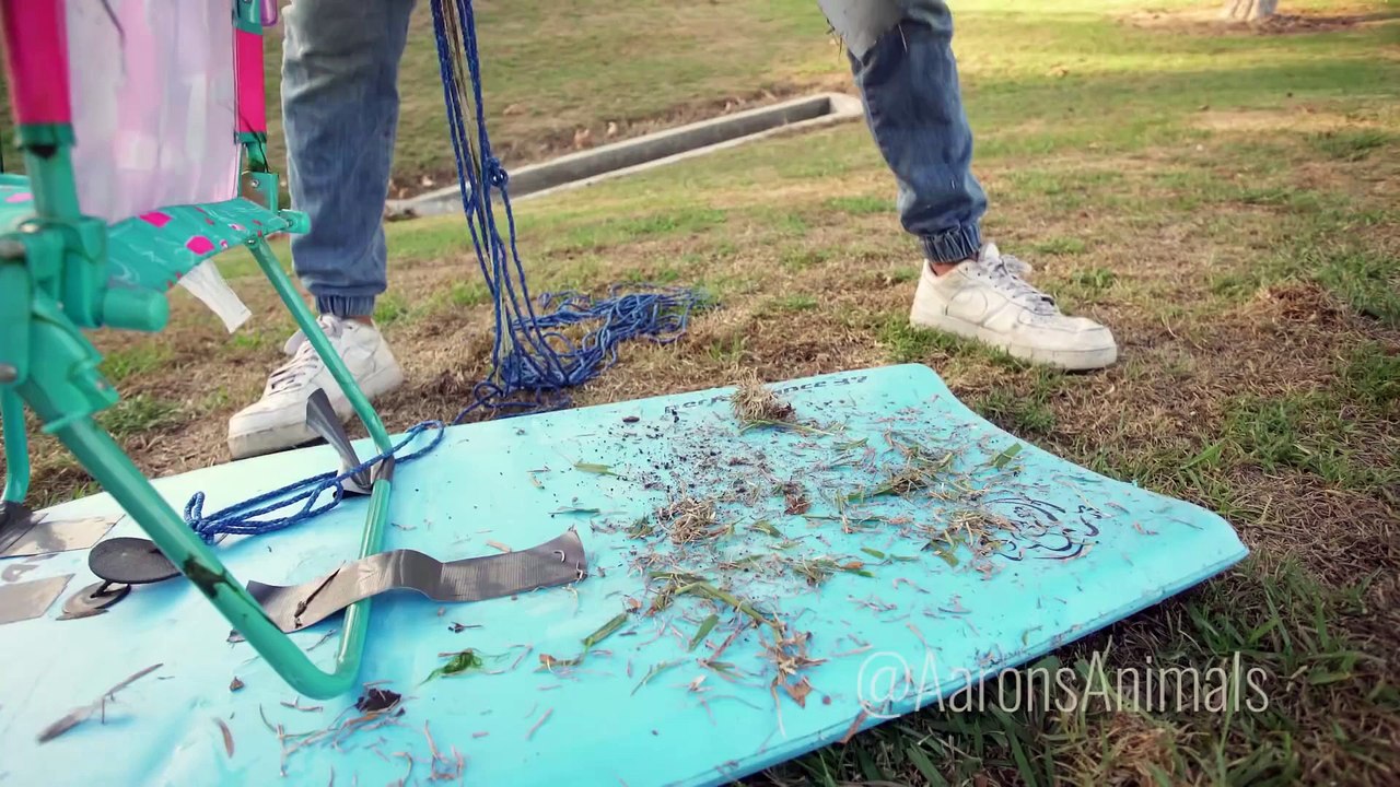 Homemade Jet Ski - Aarons Animals (1)