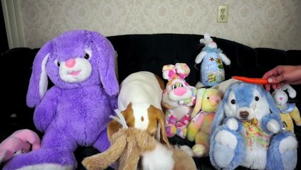 Stuffed Bunnies Come to Life- Funny Dogs Maymo & Penny