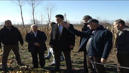 BASHA: BUJQESIA ESHTE NE KRIZE