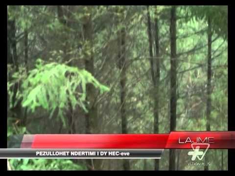 Pukë, pezullohet ndërtimi i dy HEC-eve - News, Lajme - Vizion Plus