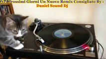 FUNNY DJ CAT SCRATCH  MUSICA DEL MOMENTO NOVEMBRE DICEMBRE   Consigliato By: Daniel Sound Dj