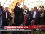 Panairi i gjelit të detit - News, Lajme - Vizion Plus