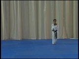 Taekwondo poomsées Kumgang