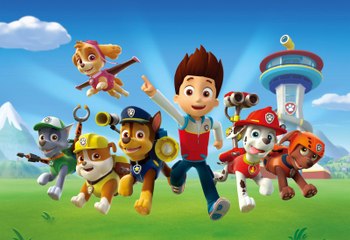 Paw Patrol Academy Game - Paw Patrol Cartoon Nick JR English - Paw Patrol full Episodes