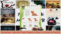 Read  Drawing Colored Pencil Basics How to Draw  Paint EBooks Online