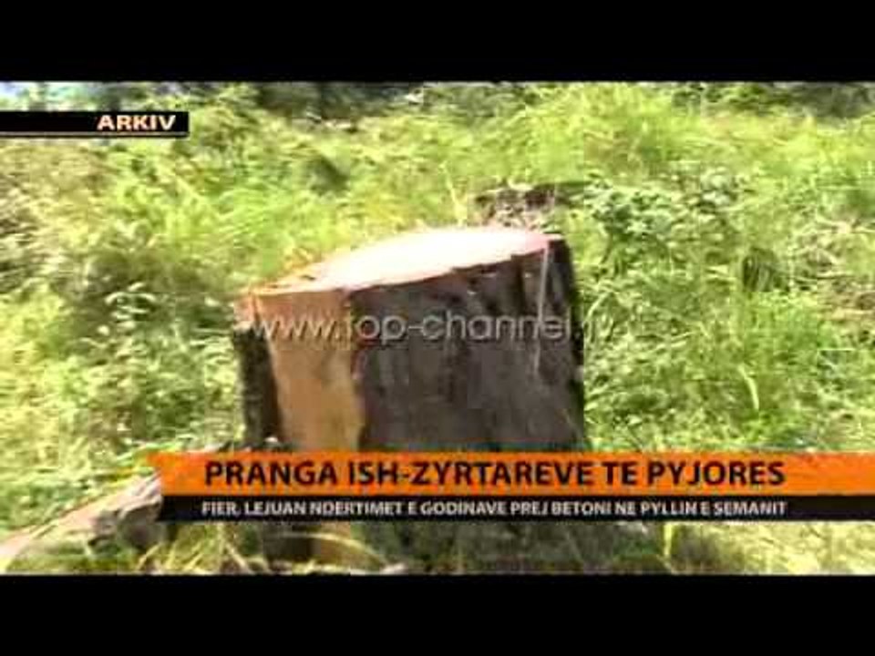Fier, pranga ish-zyrtarëve të Pyjores - Top Channel Albania - News - Lajme
