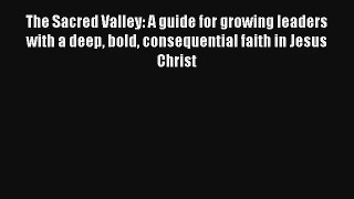 The Sacred Valley: A guide for growing leaders with a deep bold consequential faith in Jesus