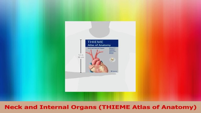 Neck and Internal Organs THIEME Atlas of Anatomy Download