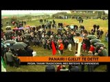 Peqin, zhvillohet panairi i gjelit të detit - Top Channel Albania - News - Lajme
