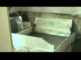 DEMET NGA PERMBYTJET,FAMILJA BUSHI NE LAÇ “LUFTON” ME BALTEN PER TE DISATEN HERE LAJM