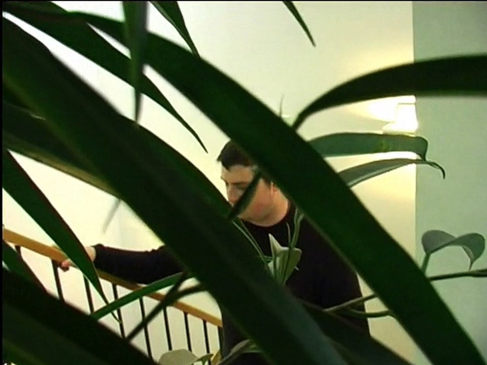 La maison derriere le bois