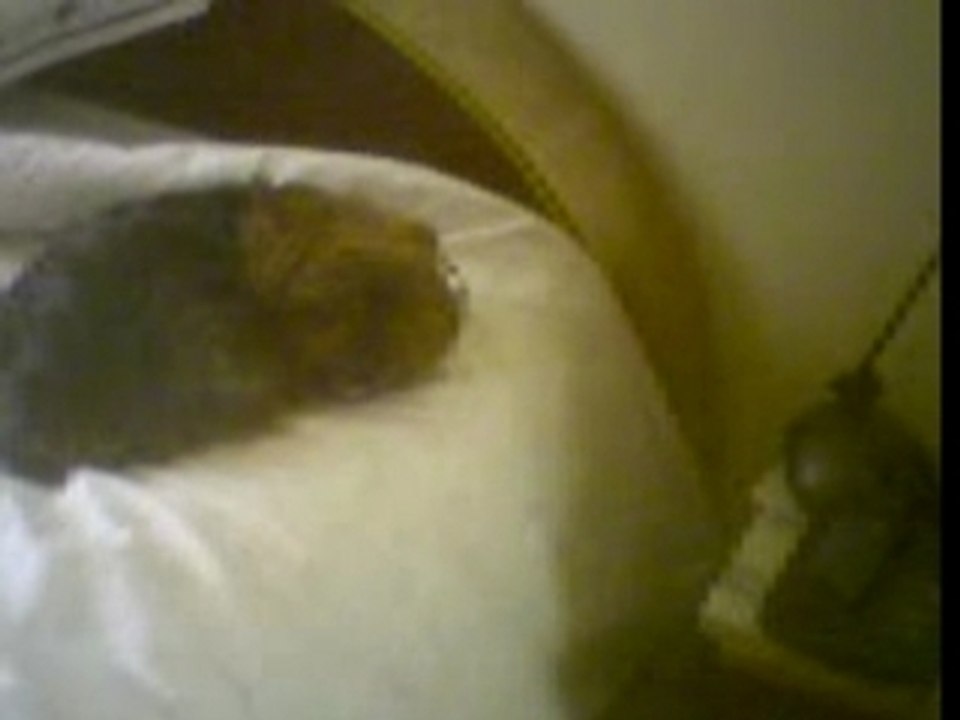 ne jamais reveiller"james"...