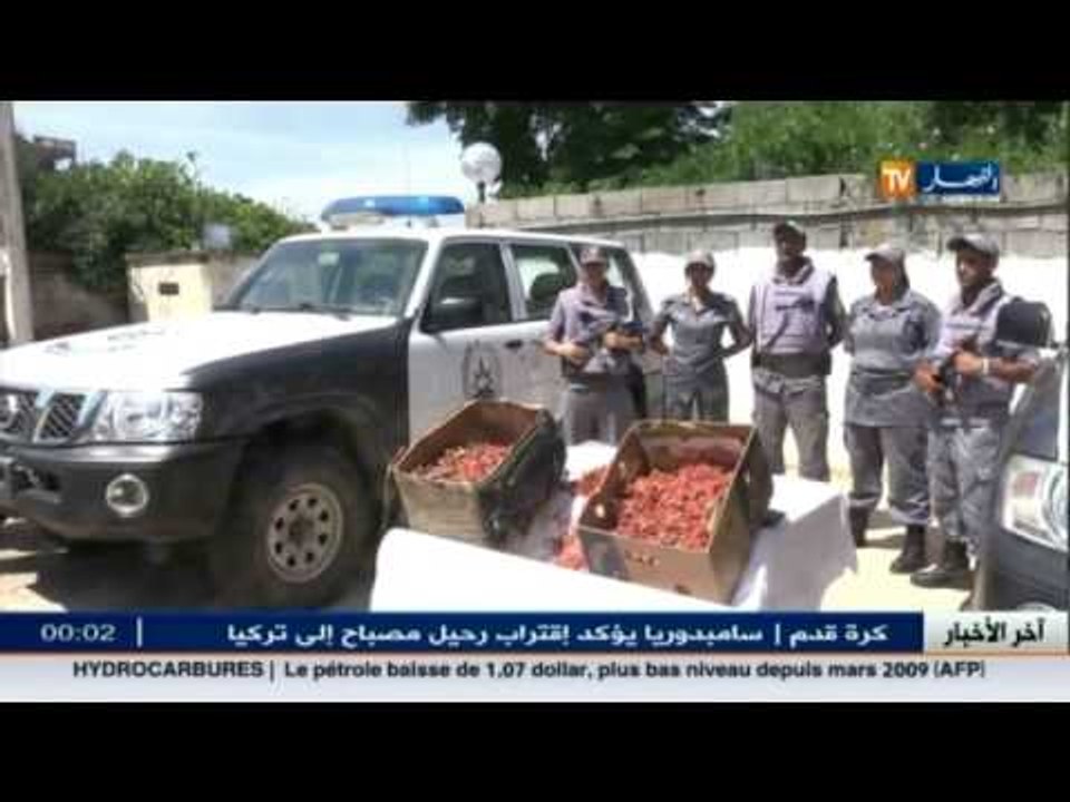 مصالح الجمارك.. حجز 17كلغ من المرجان