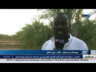 عين صالح.. مؤهلات فلاحية بحاجة للدعم