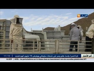 باتنة: توزيع 400 خلية نحل على 40 فلاح
