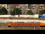 Pallate pranë digës së liqenit artificial - Top Channel Albania - News - Lajme