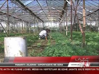 News Edition in Albanian Language - 4 Janar 2015 - 19:00 - News, Lajme - Vizion Plus