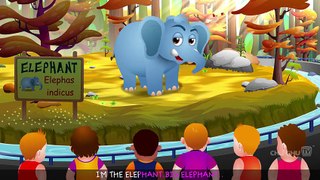 Finger Family Elephant - ChuChu TV Animal Finger Family Songs & Nursery Rhymes For Children