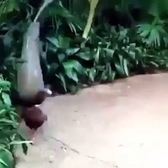 beauti of nature....!!!!