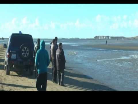 DETI NXJERR NE BREG TRUPIN E NJERIT PREJ PESHKATAREVE,NGA TJETRI ASNJE GJURME LAJM