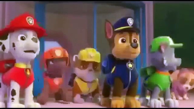 Paw Patrol Academy Game - Paw Patrol Cartoon Nick JR English - Paw Patrol full Episodes