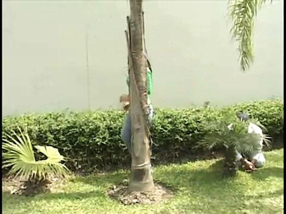 LA UNIVERSIDAD  RIO  USMP