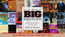 Read  Little Book of Big Emotions How Five Feelings Affect Everything You Do and Dont Do Ebook Free